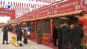 春節(jié)期間我市各地廟會年味濃