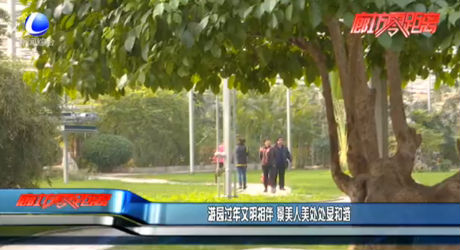 游園過(guò)年文明相伴 景美人美處處顯和諧