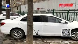 我市市區(qū)多條街巷成了停車(chē)場(chǎng)