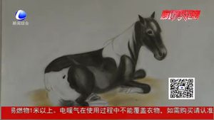 草根畫(huà)家趙鳳鸞 方寸之間勾勒山水情