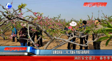 【金豬話民俗】二月二龍?zhí)ь^ 傳統(tǒng)習(xí)俗有講究