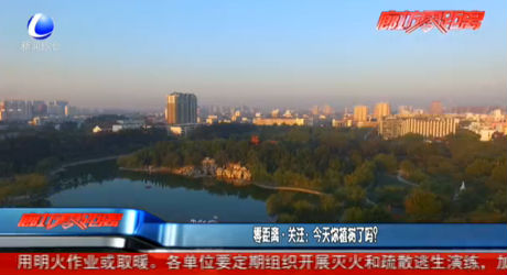 零距離關(guān)注：今天你植樹了嗎？