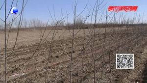 萬莊鎮(zhèn)扎實(shí)推進(jìn)征地工作 確保城際鐵路S6線順利施工