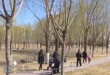 助你文明——文明游園 愛護(hù)環(huán)境