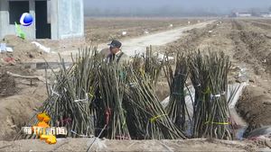 全國人大代表方金華：服務果農(nóng)面對面“兩會”精神到田間