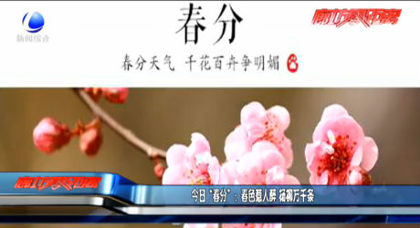 今日“春分”：春色惹人醉 楊柳萬(wàn)千條