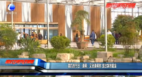 我們的節(jié)日 清明：又到清明時(shí) 說(shuō)出你的思念