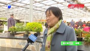 我們的節(jié)日·清明：又到清明時(shí) 說(shuō)出你的思念