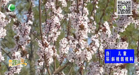 又是一年春來到 踏青賞花正當時