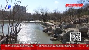 清明出門旅游 忙于“打卡