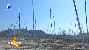 我市高標(biāo)準(zhǔn)高質(zhì)量做好環(huán)保督查整改工作 全面加強(qiáng)生態(tài)環(huán)境建設(shè)