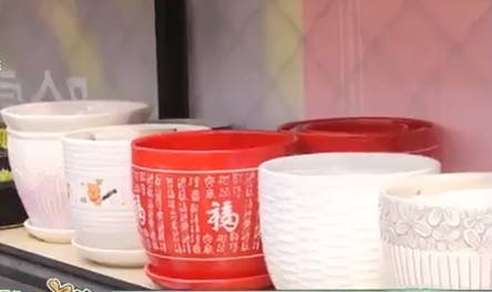 春季花卉換盆正當(dāng)時(shí)