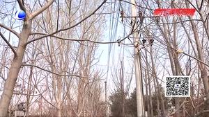 廊坊電力營(yíng)銷部提示您：沒藥違規(guī)種樹