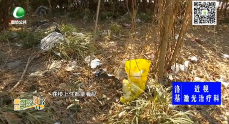 綠化帶變垃圾帶 這里到底歸誰管