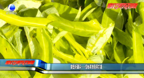 食在好源頭——空心菜的營(yíng)養(yǎng)價(jià)值