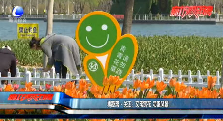 零距離·關(guān)注：文明賞花 勿煞風景