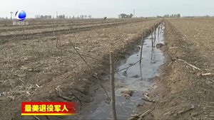 王永東：退伍不褪色 一心為色做實事