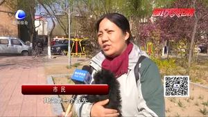 避免寵物狗擾民 文明養(yǎng)狗是關鍵