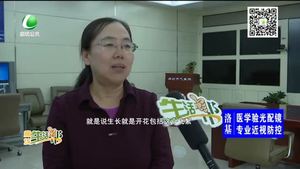 又到“飛絮季”