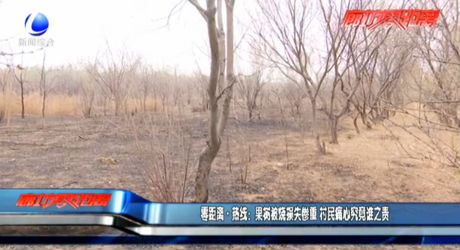 零距離熱線：果樹被燒損失慘重 村民痛心究竟誰之責(zé)