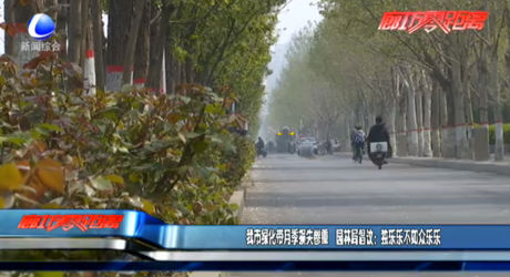 我市綠化帶月季損失慘重 園林局倡議：獨(dú)樂樂不如眾樂樂