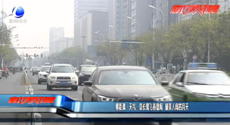 零距離·天氣：草場(chǎng)鶯飛春意鬧 最美人間四月天