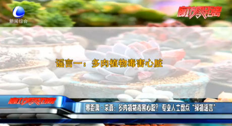 零距離求真：多肉植物毒害心臟？專業(yè)人士盤點(diǎn)“綠植謠言”