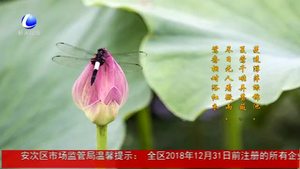 今日立夏：孟夏之日 天地始交 萬物并秀