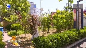 本周我市天氣以晴為主 氣溫穩(wěn)步回升