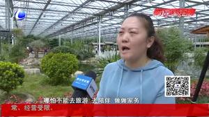 母親節(jié)：不要只在朋友圈說(shuō)愛(ài)她 陪伴是最好的禮物