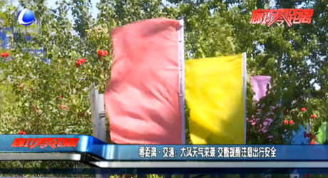 零距離·交通：大風(fēng)天氣來襲 交警提醒注意出行安全