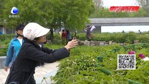 老年人期盼”說走就走的旅行“跟團游不應(yīng)高門檻