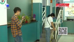 氣溫升高 貓狗進(jìn)入“焦躁期”小心被咬傷