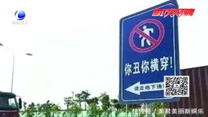“被撞死翹翹”另類(lèi)安全標(biāo)注惹爭(zhēng)議