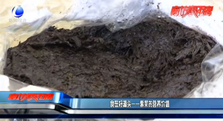 食在好源頭——紫菜的營(yíng)養(yǎng)價(jià)值