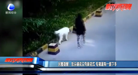 民警提醒：街頭碰瓷又有新招式 專挑遛狗一族下手