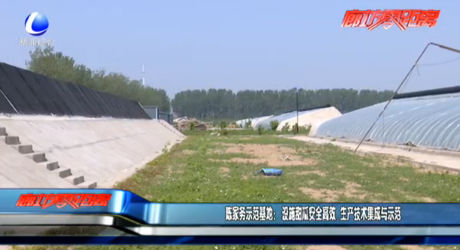 陳家務示范基地： 設施甜瓜安全高效 生產技術集成與示范