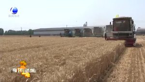 永清縣6.8萬(wàn)畝小麥機(jī)收工工作全面展開(kāi)
