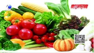 夏至后每日睡“子午覺” 黃昏運動最理想