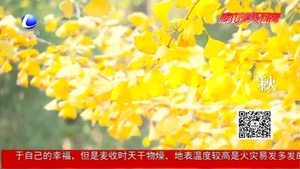 廊坊四時之美 美了四季