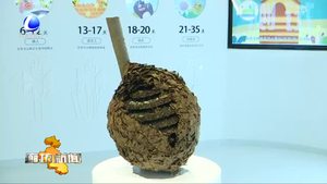 亞洲最大蜂產(chǎn)品加工基地在廊坊開發(fā)區(qū)建成投產(chǎn)