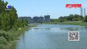 龍河出現(xiàn)疑似捕魚(yú)網(wǎng)？安次區(qū)水務(wù)局：是漂浮物攔截網(wǎng)