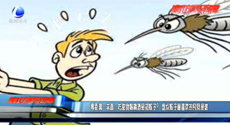 吃甜食喝啤酒易招蚊子？盤點蚊子最喜歡的究竟是誰