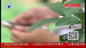 接個“快遞客服”電話 小伙被騙10萬元