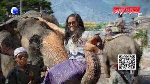 求學(xué)旅游迎來小高峰 家長應(yīng)理性選擇