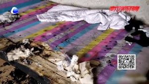 停電后椅子“自燃”差點(diǎn)燒了家？竟是電吹風(fēng)惹的禍