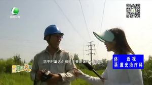 高溫下的堅守：走近一線電力工人