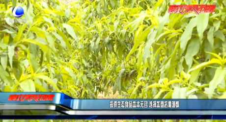 投資生態(tài)食品血本無(wú)回 選擇加盟店需謹(jǐn)慎