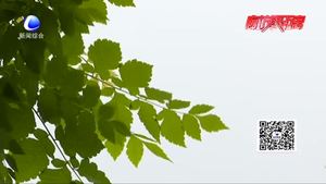 買房后被燃?xì)夤荆涣袨椤昂趹簟?至今未能開通 業(yè)主心急