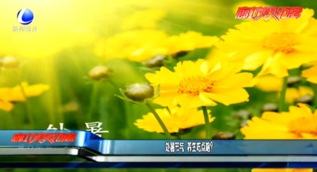 處暑節(jié)氣 養(yǎng)生吃點(diǎn)啥？